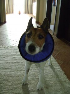 Kinek, mi a természetes...