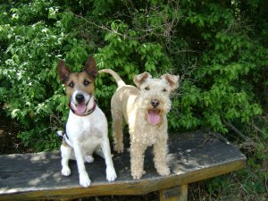 Pokróc és Pokrócné...