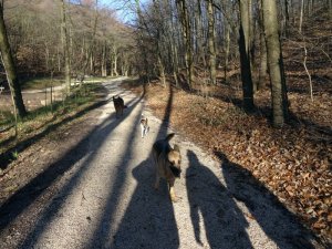 Egy gyors behívás...