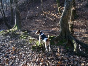 A kiválasztás megtörtént...