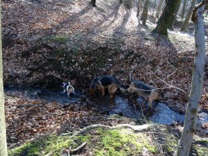 Mondom, mindez februárban...