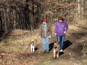 Feladvány! Párosítsd a megfelelő Gazdihoz, a megfelelő kutyát. :-D