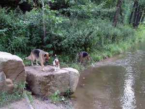 Ez, akkor is az enyém!