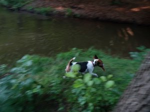 Megyek, biztonságba helyezem.