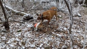 Nem játszom! Nem érek rá! Ások!