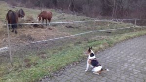 Minden rendben. Egérnek nyoma sincs...